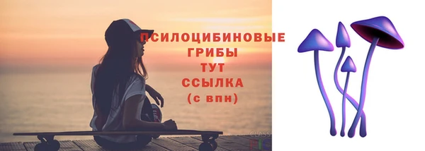 сатива Усмань