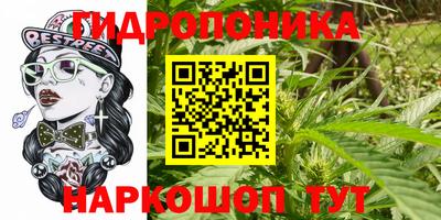 винт Кимры