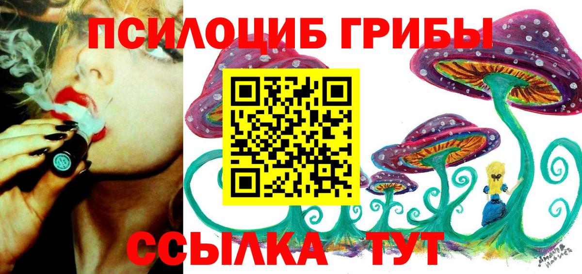 Галлюциногенные грибы Psilocybine cubensis  Вход с VPN  Реж 